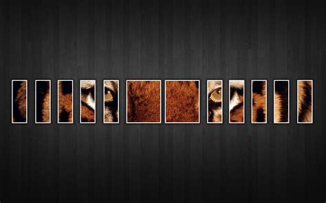 cover pic hd|free cover photos for facebook.